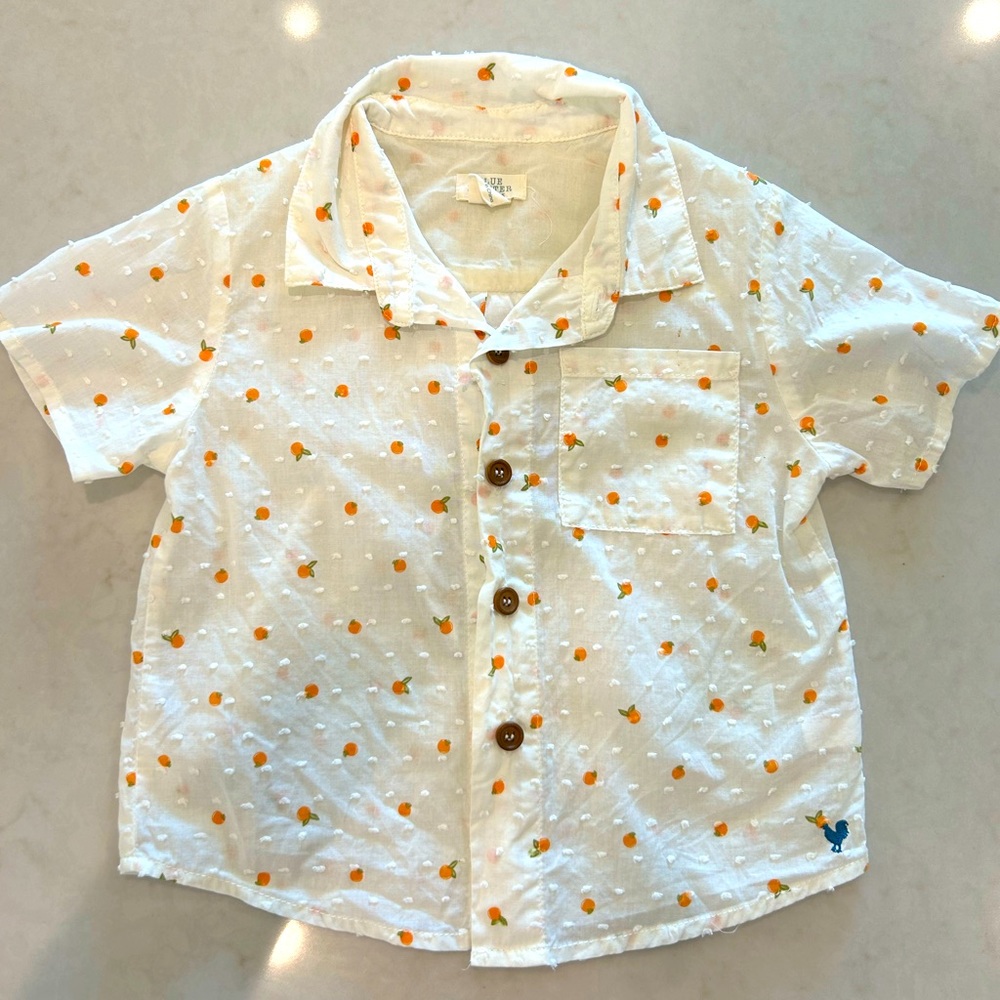 Pink chicken / Blue Rooster boys ditsy orange shirt EUC size 2Y